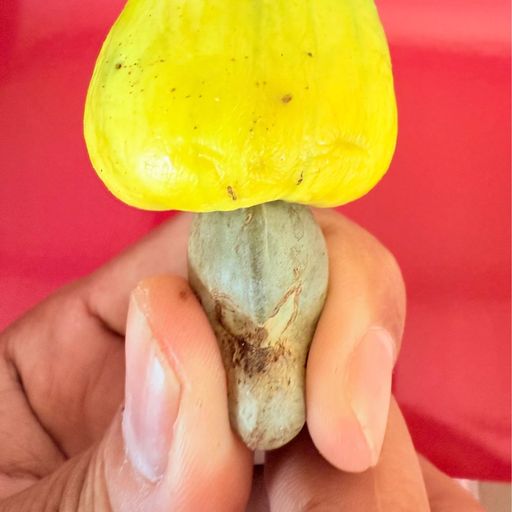 พี่ปลายแลนด์มาร์ค