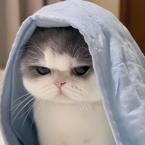 สมาชิกหมายเลข 9304086