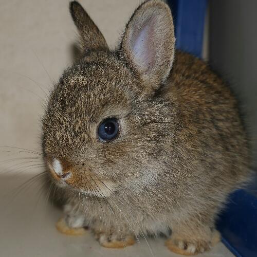 สมาชิกหมายเลข 4593651