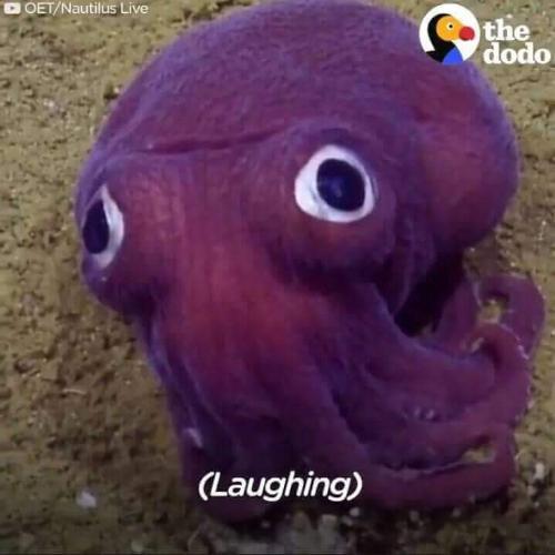 สมาชิกหมายเลข 4593826