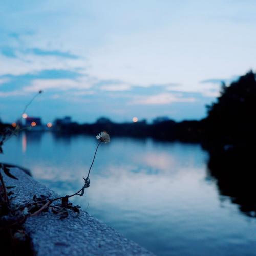 สมาชิกหมายเลข 4809861