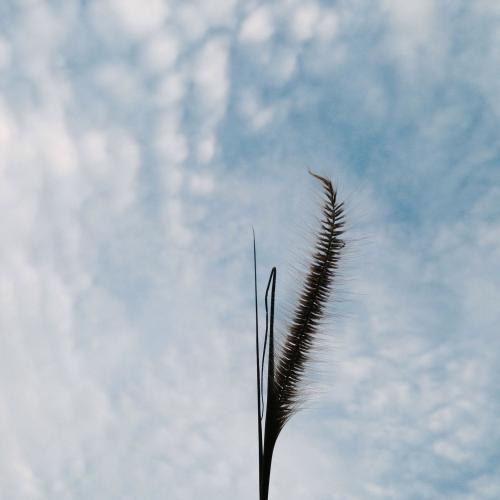 สมาชิกหมายเลข 4940228