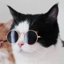 บักหล้า