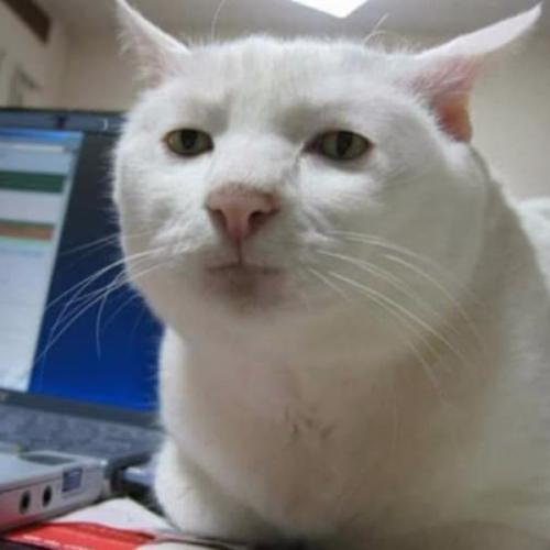 สมาชิกหมายเลข 3053282