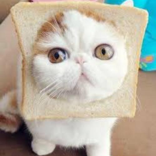 สมาชิกหมายเลข 5805179