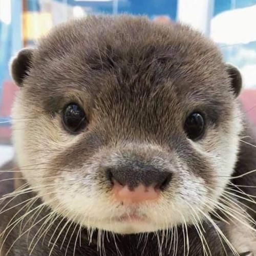 สมาชิกหมายเลข 6002082