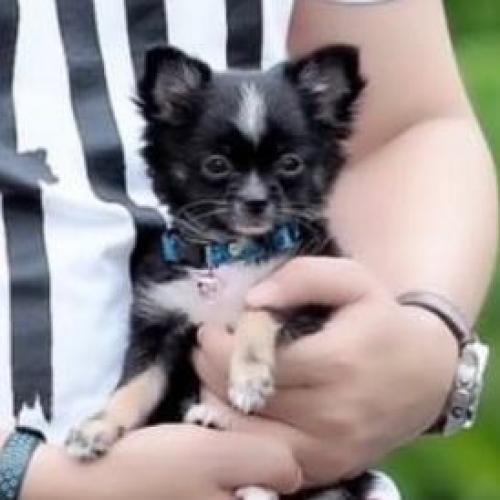 สมาชิกหมายเลข 2144071