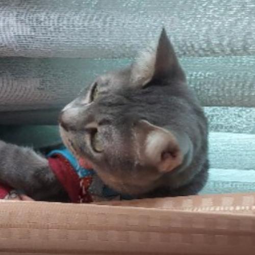 สมาชิกหมายเลข 7853429