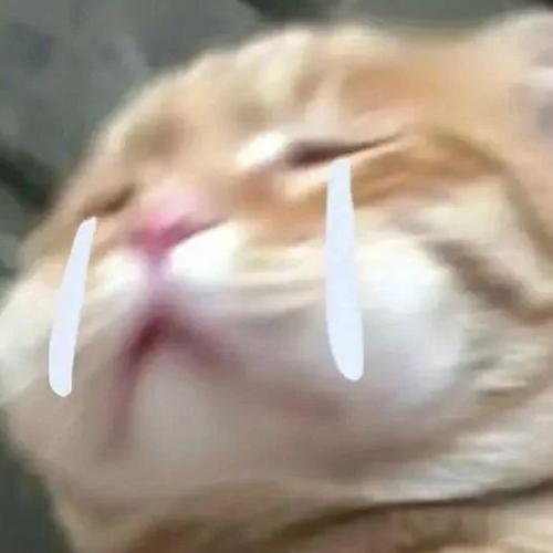 สมาชิกหมายเลข 3211547