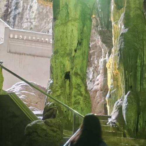 สมาชิกหมายเลข 7208547