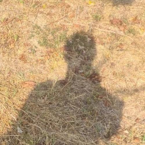 สมาชิกหมายเลข 7785074