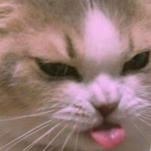 สมาชิกหมายเลข 8901528