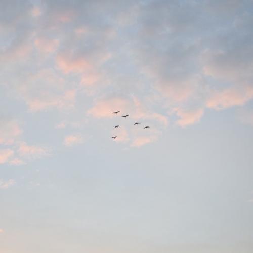 สมาชิกหมายเลข 3032240