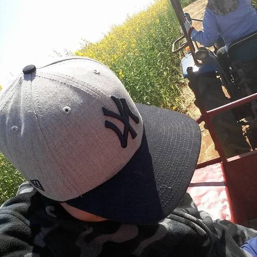 สมาชิกหมายเลข 8097364