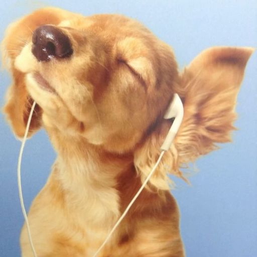 สมาชิกหมายเลข 9305636