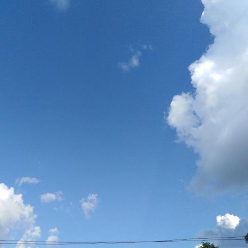 สมาชิกหมายเลข 4910394