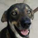 สมาชิกหมายเลข 868295