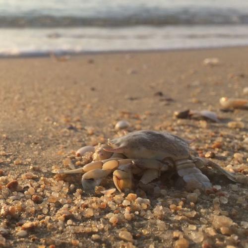 สมาชิกหมายเลข 5812680