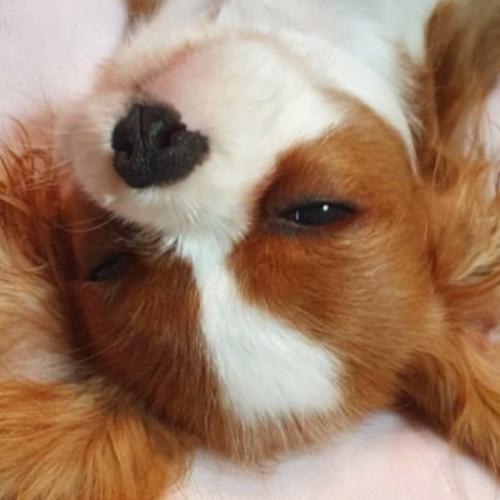 สมาชิกหมายเลข 5812717