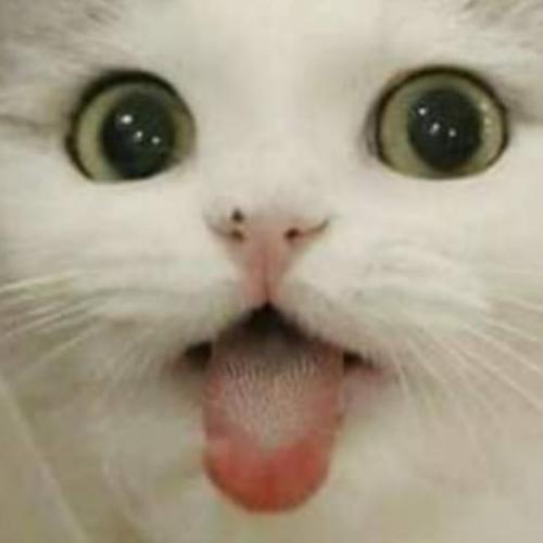 สมาชิกหมายเลข 5812980