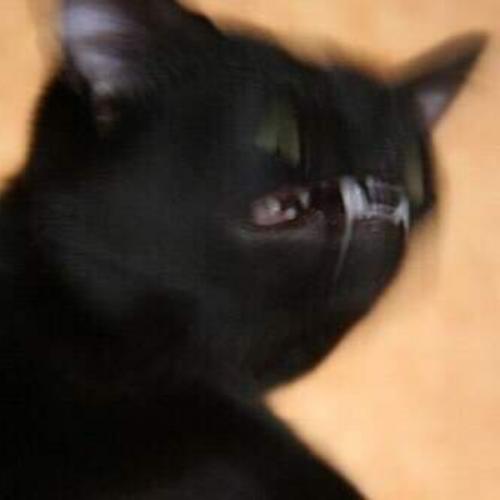 สมาชิกหมายเลข 4647284