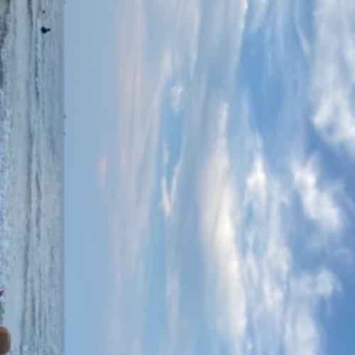 สมาชิกหมายเลข 7107699