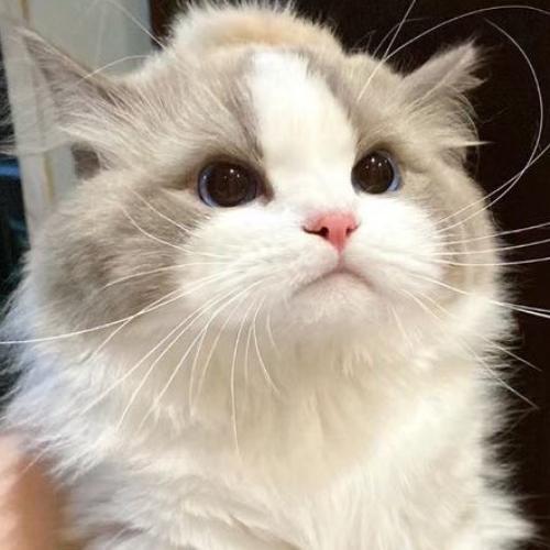 สมาชิกหมายเลข 8181916