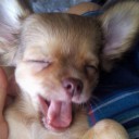 สมาชิกหมายเลข 3728713