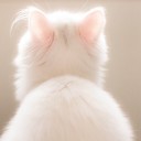 สมาชิกหมายเลข 1675461