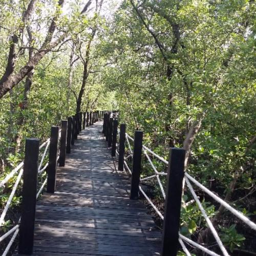 สมาชิกหมายเลข 3777737