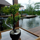 สมาชิกหมายเลข 4941387