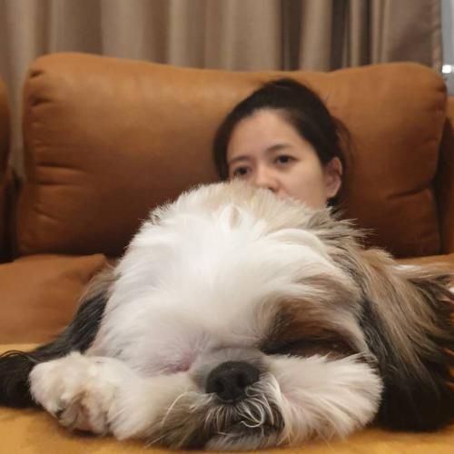 สมาชิกหมายเลข 1975802