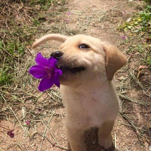 สมาชิกหมายเลข 4813655