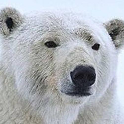 ธนุเพธา