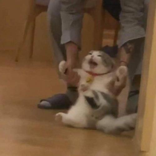 สมาชิกหมายเลข 6290211