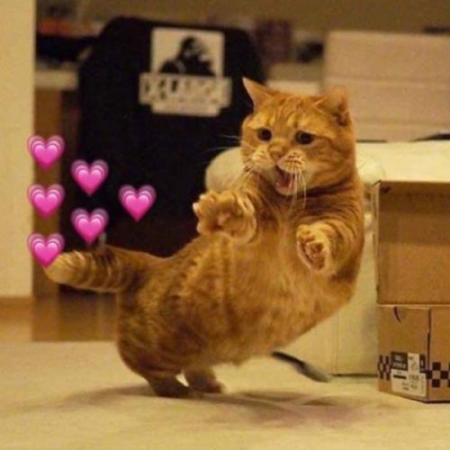 สมาชิกหมายเลข 6416370