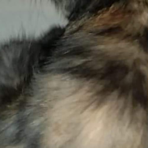 สมาชิกหมายเลข 7793657