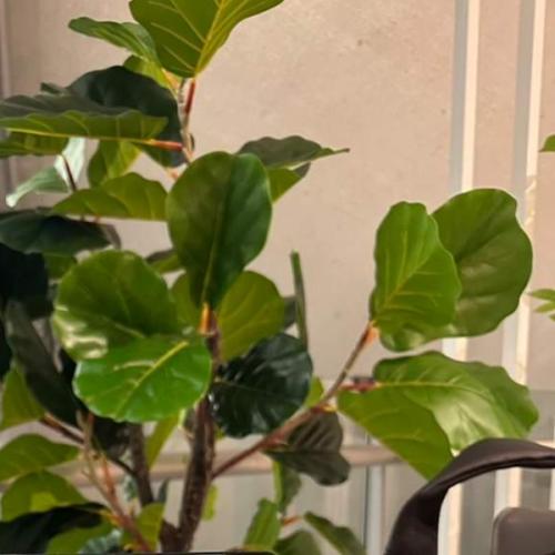 สมาชิกหมายเลข 7891050