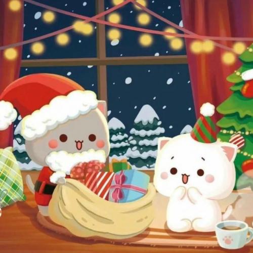 สมาชิกหมายเลข 7891413