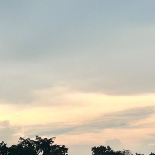 สมาชิกหมายเลข 8871934