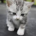 สมาชิกหมายเลข 2350046