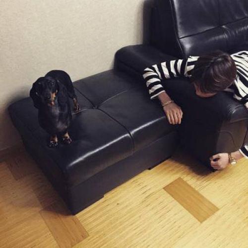 สมาชิกหมายเลข 2698182