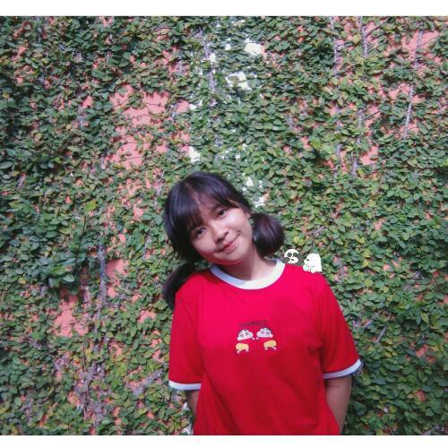 สมาชิกหมายเลข 4162385