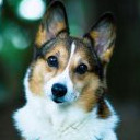 สมาชิกหมายเลข 4941547