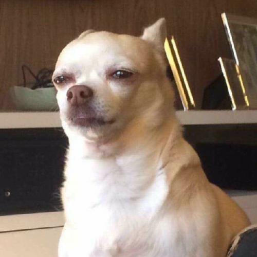 สมาชิกหมายเลข 4748402