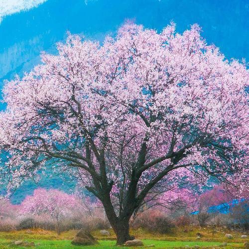 สมาชิกหมายเลข 5813903