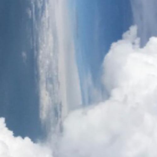 สมาชิกหมายเลข 2046022