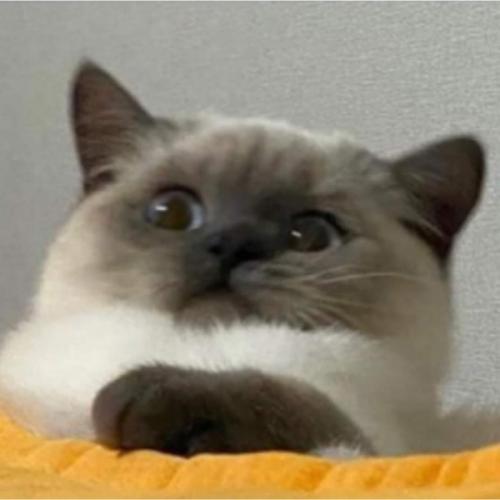 สมาชิกหมายเลข 3385536