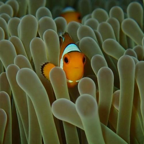 สมาชิกหมายเลข 4026949