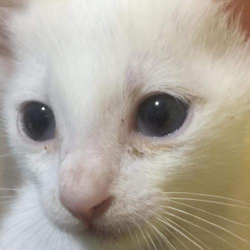 สมาชิกหมายเลข 7892115